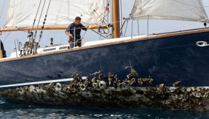 coque de bateau avec biofouling sous la ligne de flottaison
